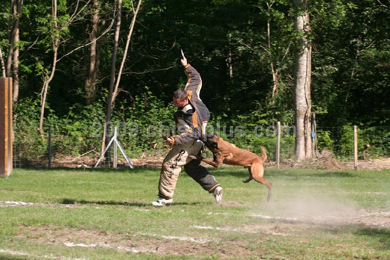Twisty des Loups Mutins (8).jpg